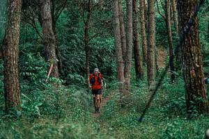 BIB: 
                            <button type="button" onclick="openModal(25236146)" class="btn btn-primary btn-sm float-right btn-popup" data-toggle="modal" data-target=".modal-high-quality">
                        <i class="fas fa-shopping-cart"></i> Add to Cart
                    </button>
                                            <button type="button" onclick="isThisMe(25236146, true)" class="btn btn-success btn-sm float-right btn-popup btn-isme hidden" data-toggle="tooltip" data-placement="bottom" title="นี่คือรูปของคุณใช่ไหม คลิกที่นี่เพื่อเอาเข้าอัลบั้ม">
                        <i class="fas fa-plus"></i> Add to album
                    </button>
                    <button type="button" onclick="isThisMe(25236146, false)" class="btn btn-warning btn-sm float-right btn-popup btn-isnotme hidden">
                        <i class="fas fa-ban"></i> Remove from album
                    </button>